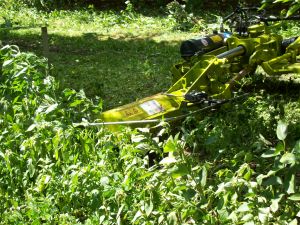 Calderoni FPS + T100 minimulcser 