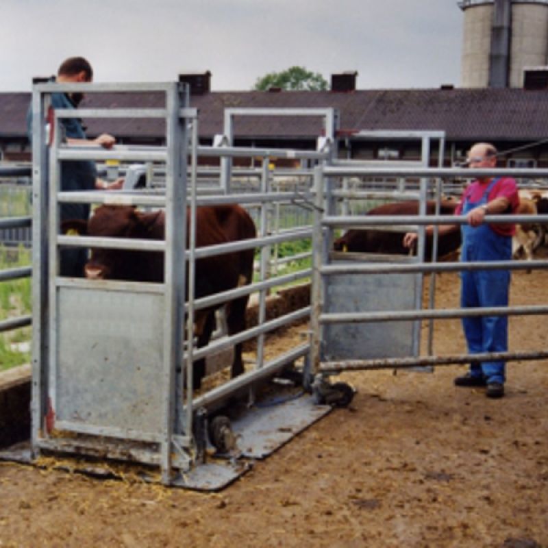 Agris szarvasmarha mérleg alumínium platformmal